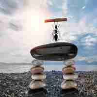 大‌数﻿据‌分﻿析‍工‍具‍软﻿件​